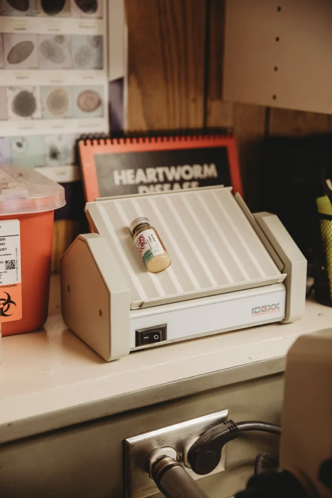 Heartworm prevention