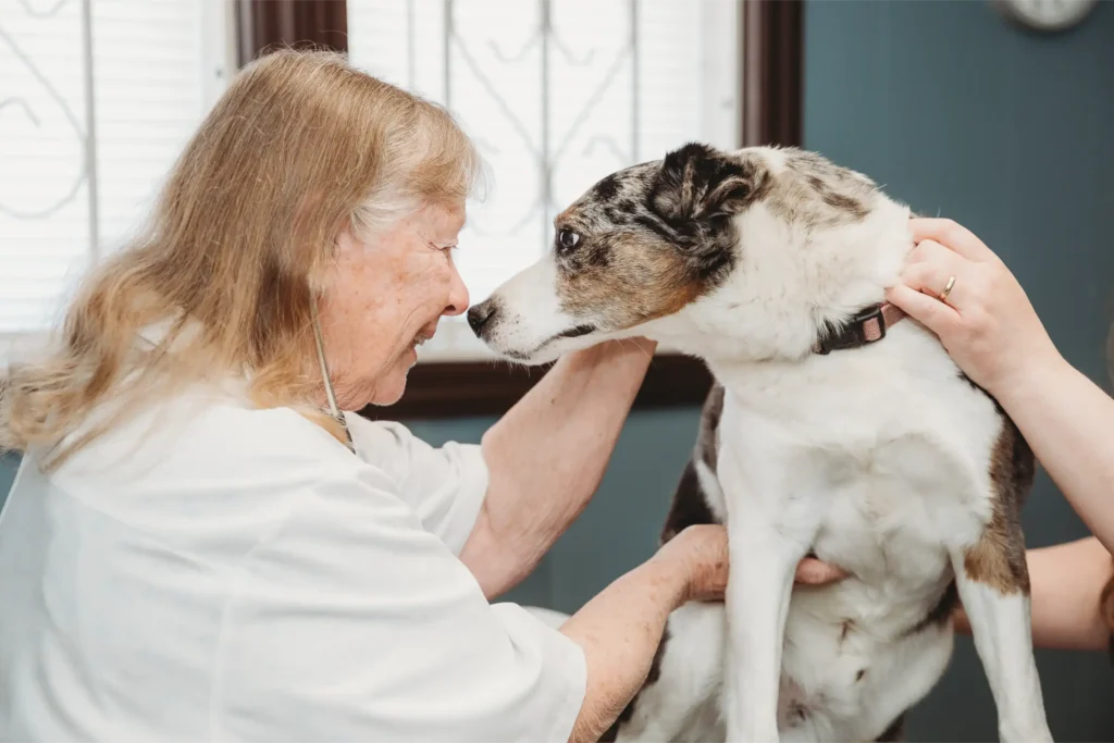 Animal wellness visits at LaFayette Animal Clinic