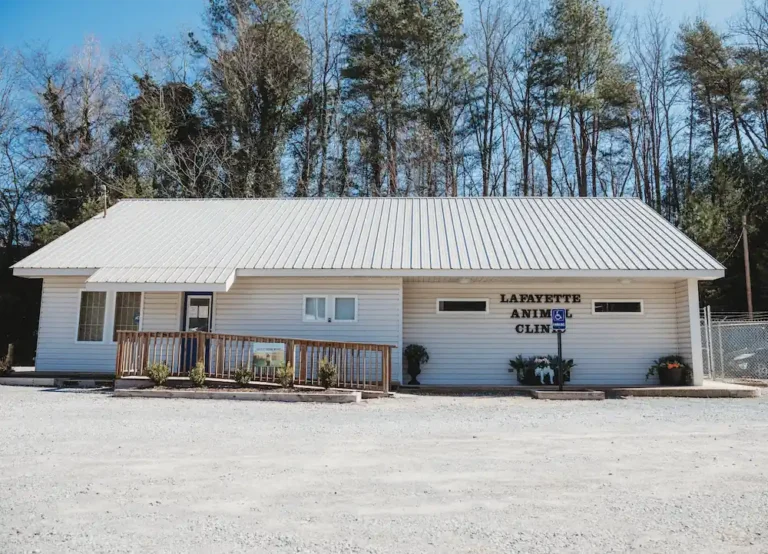 Outside view of LaFayette Animal Clinic