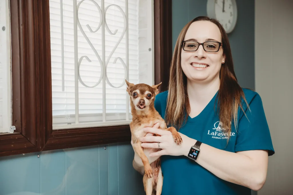 Veterinary staff member holding dog