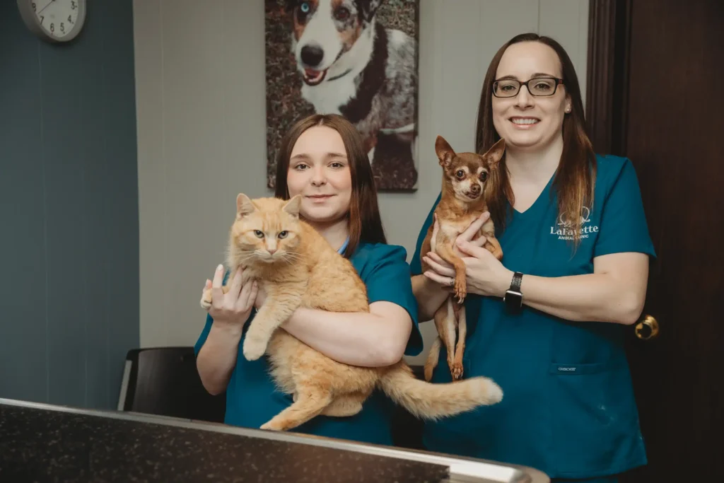 Veterinary staff members holding a dog and a cat